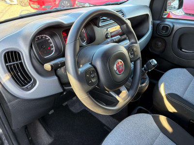 Fiat Panda Gebrauchtwagen Fiat Panda Gebrauchtwagen