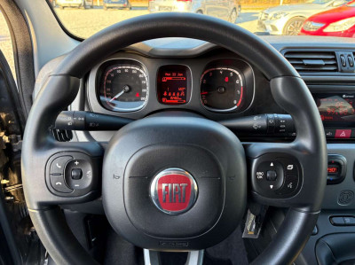 Fiat Panda Gebrauchtwagen Fiat Panda Gebrauchtwagen