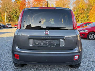 Fiat Panda Gebrauchtwagen Fiat Panda Gebrauchtwagen
