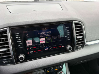 Skoda Karoq Gebrauchtwagen