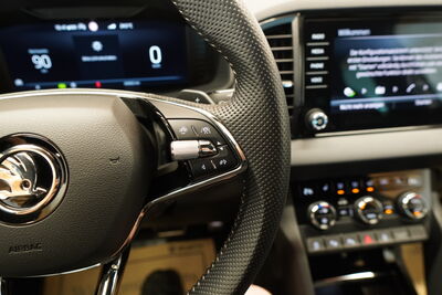 Skoda Karoq Gebrauchtwagen