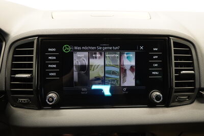 Skoda Karoq Gebrauchtwagen