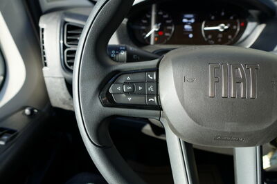 Fiat Ducato Neuwagen