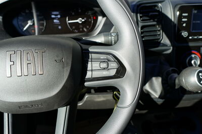 Fiat Ducato Neuwagen