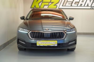 Skoda Octavia Gebrauchtwagen