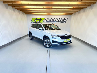 Skoda Karoq Gebrauchtwagen