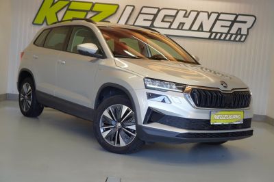 Skoda Karoq Gebrauchtwagen