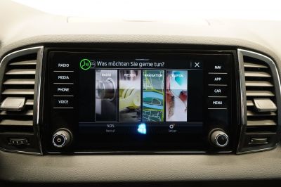 Skoda Karoq Gebrauchtwagen