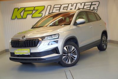 Skoda Karoq Gebrauchtwagen