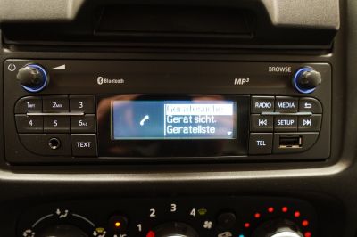 Renault Trafic Gebrauchtwagen
