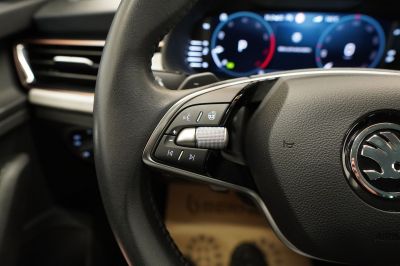 Skoda Kamiq Gebrauchtwagen
