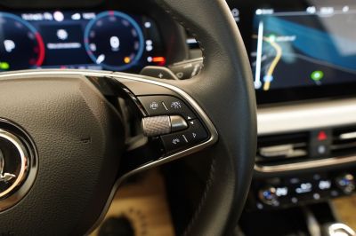 Skoda Kamiq Gebrauchtwagen