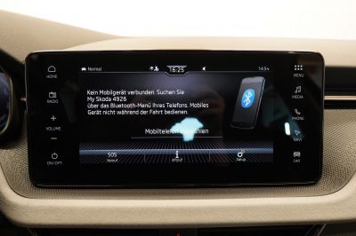 Skoda Kamiq Gebrauchtwagen