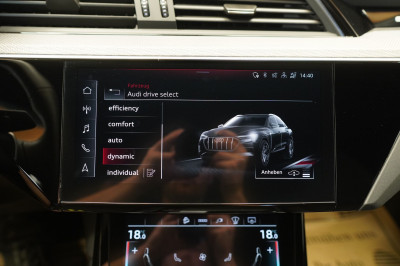Audi e-tron Gebrauchtwagen