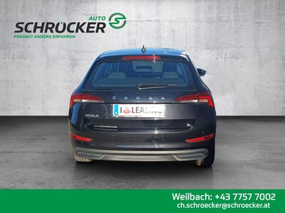 Skoda Scala Gebrauchtwagen