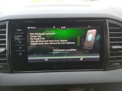 Skoda Karoq Gebrauchtwagen