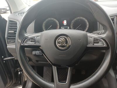 Skoda Karoq Gebrauchtwagen