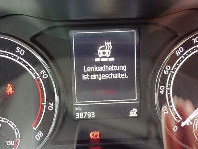 Skoda Kamiq Gebrauchtwagen