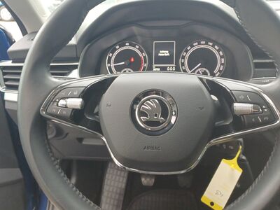 Skoda Kamiq Gebrauchtwagen