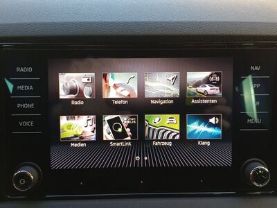 Skoda Karoq Gebrauchtwagen