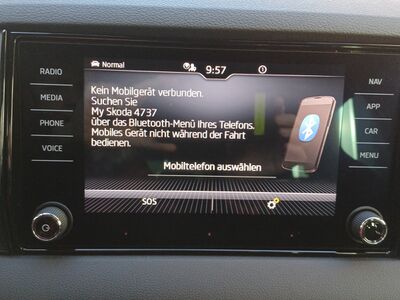 Skoda Karoq Gebrauchtwagen