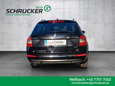 Skoda Octavia Gebrauchtwagen