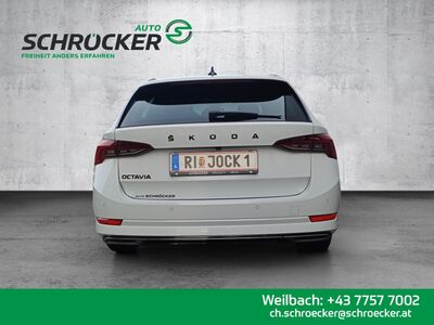 Skoda Octavia Gebrauchtwagen