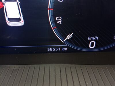 Skoda Kamiq Gebrauchtwagen
