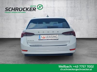 Skoda Octavia Gebrauchtwagen