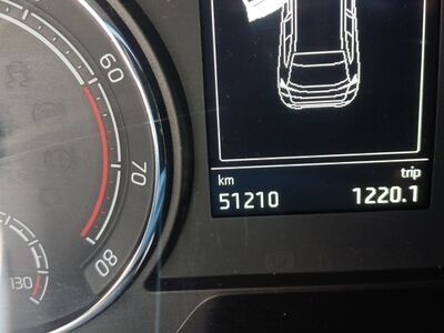 Skoda Kamiq Gebrauchtwagen