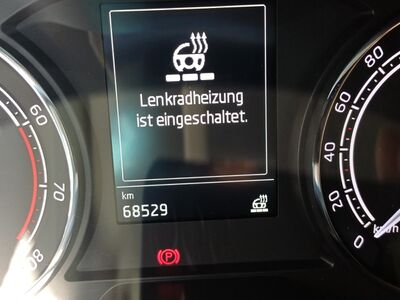 Skoda Kamiq Gebrauchtwagen