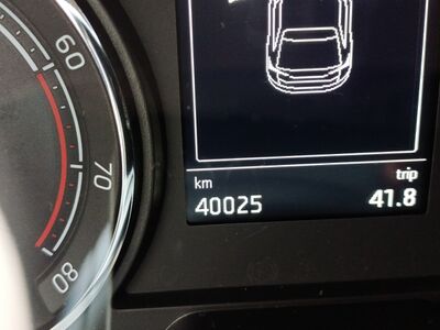 Skoda Fabia Gebrauchtwagen