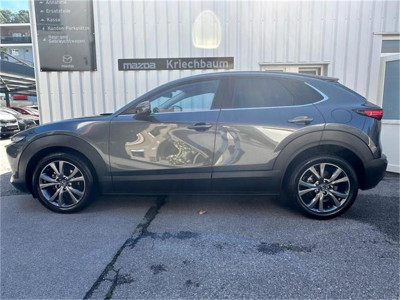 Mazda CX-30 Gebrauchtwagen