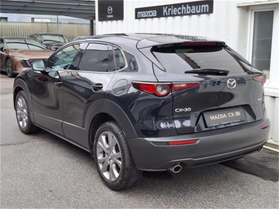 Mazda CX-30 Gebrauchtwagen Mazda CX-30 Gebrauchtwagen