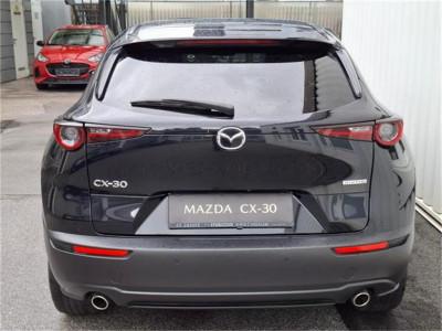 Mazda CX-30 Gebrauchtwagen Mazda CX-30 Gebrauchtwagen