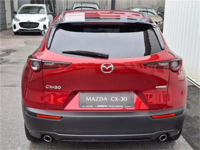 Mazda CX-30 Gebrauchtwagen Mazda CX-30 Gebrauchtwagen