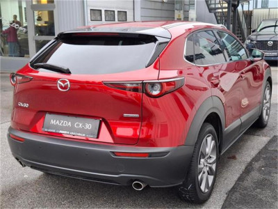 Mazda CX-30 Gebrauchtwagen Mazda CX-30 Gebrauchtwagen