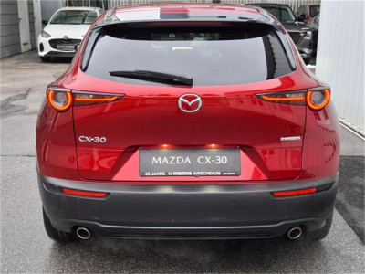 Mazda CX-30 Gebrauchtwagen