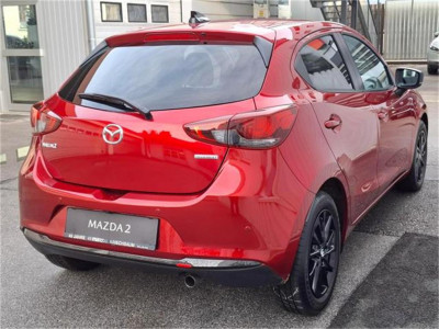 Mazda Mazda2 Gebrauchtwagen