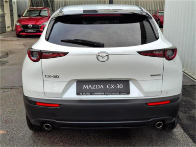 Mazda CX-30 Gebrauchtwagen