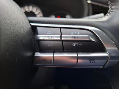 Mazda CX-30 Gebrauchtwagen Mazda CX-30 Gebrauchtwagen