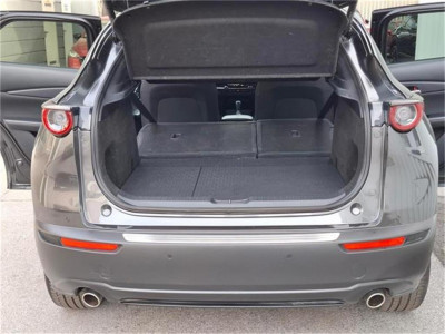 Mazda CX-30 Gebrauchtwagen Mazda CX-30 Gebrauchtwagen