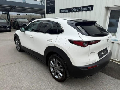 Mazda CX-30 Vorführwagen Mazda CX-30 Vorführwagen