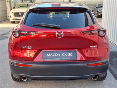 Mazda CX-30 Gebrauchtwagen