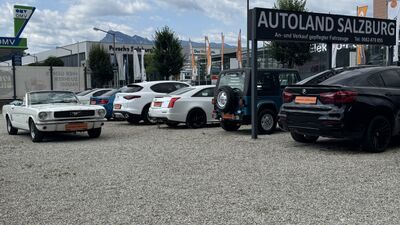 Ford Mustang Gebrauchtwagen