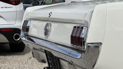 Ford Mustang Gebrauchtwagen