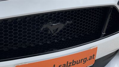 Ford Mustang Gebrauchtwagen
