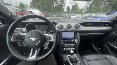 Ford Mustang Gebrauchtwagen