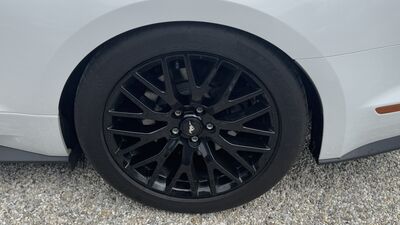 Ford Mustang Gebrauchtwagen