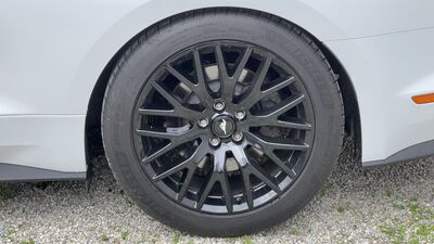 Ford Mustang Gebrauchtwagen